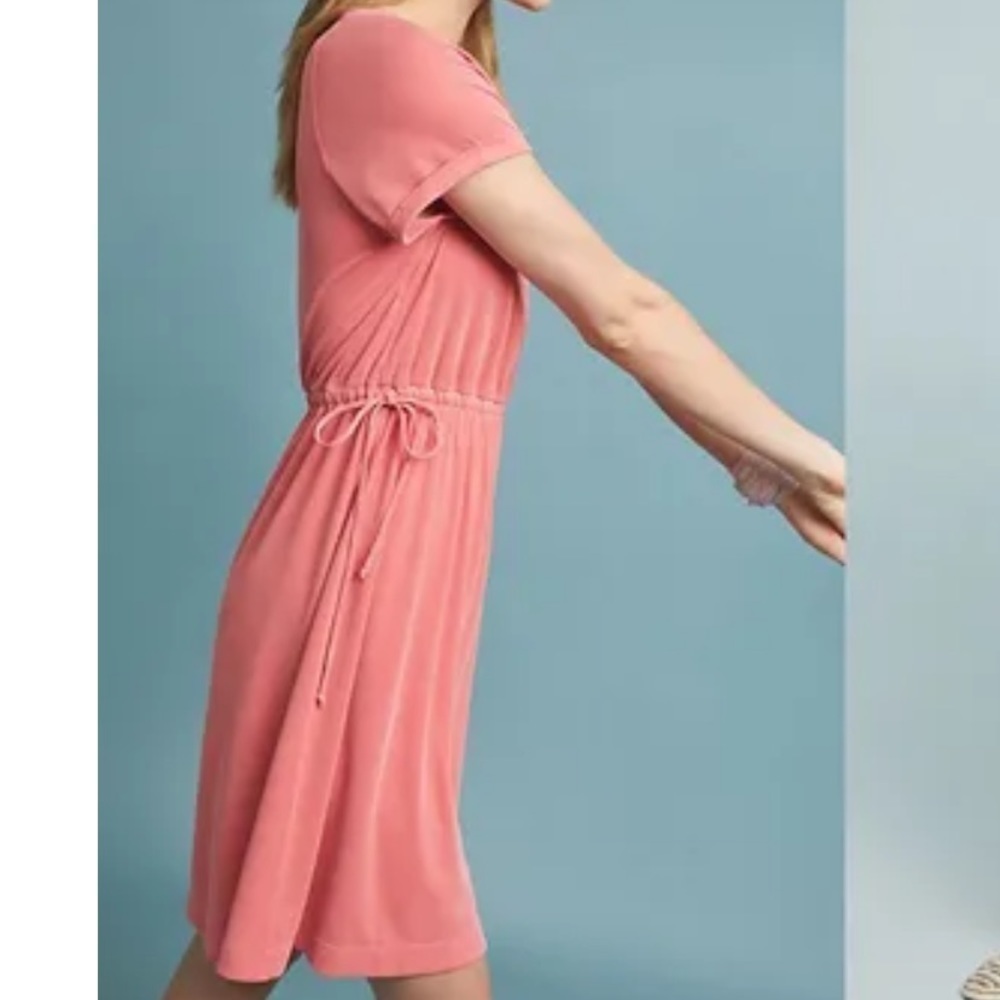 Anthropologie Saturday Sunday Waisted Cupro Dress